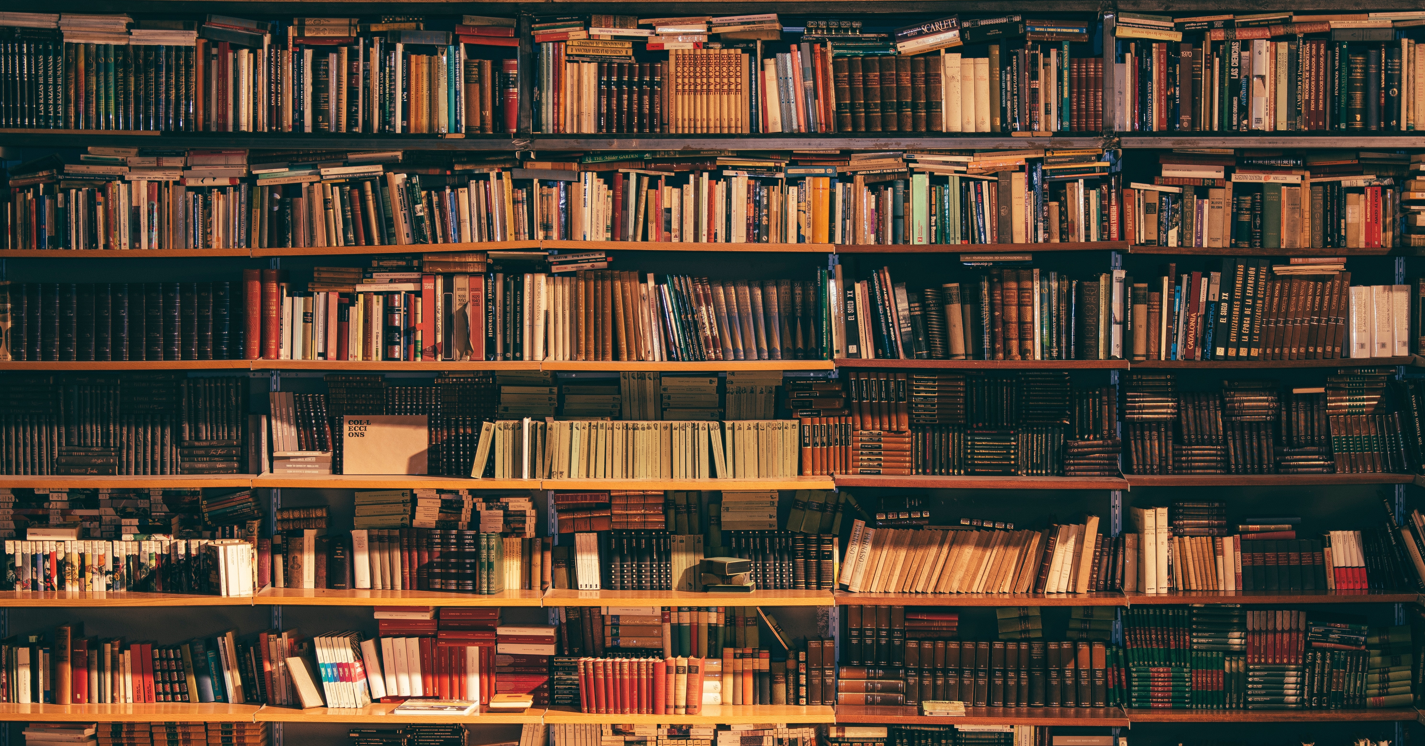 Reading